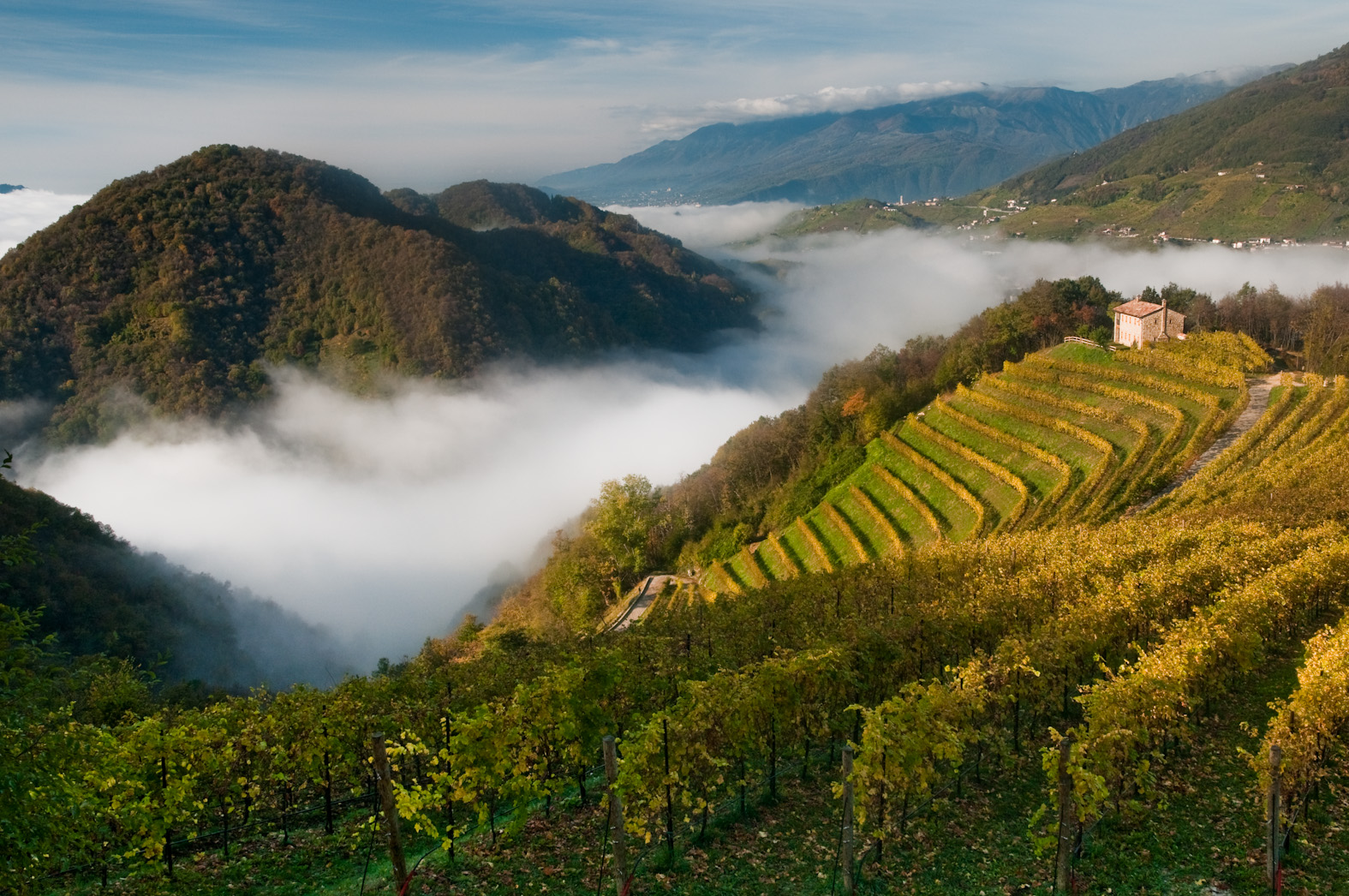 Valdobbiadene, nuvole sui vigneti